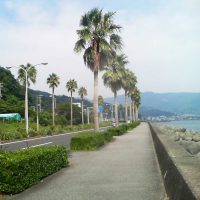 社員旅行で伊東へ