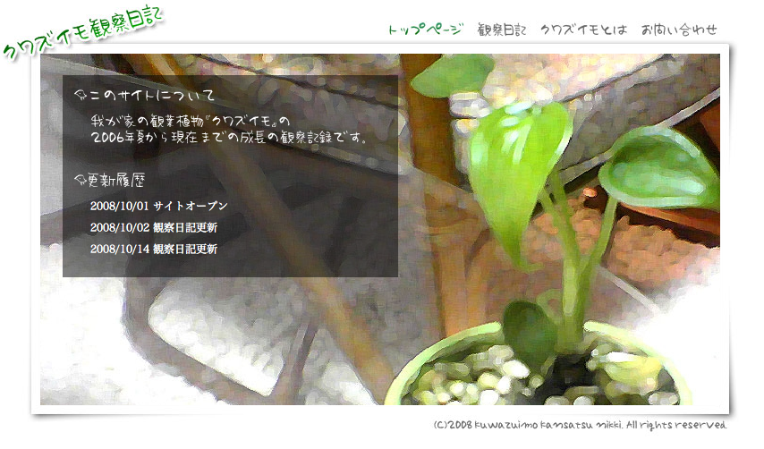 クワズイモサイト完成