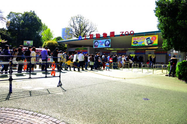 Panda – Madonna – New Tokyo