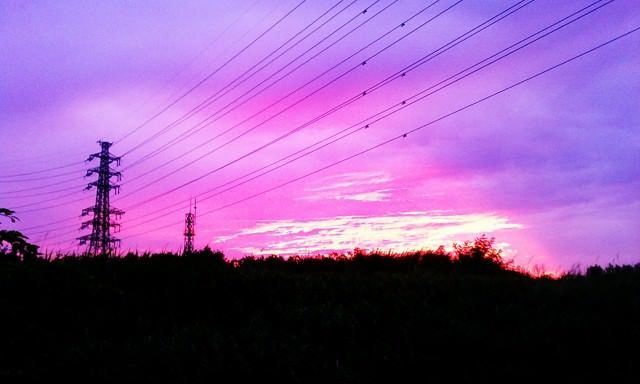 Purple Haze