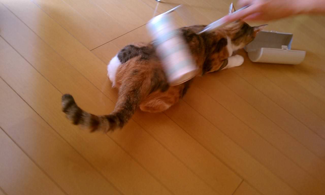 Brushing