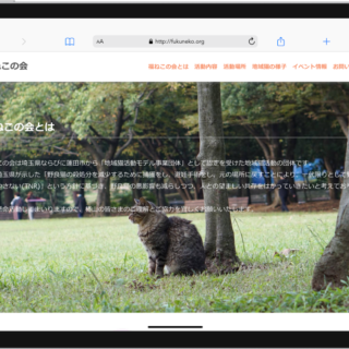 【限定公開】