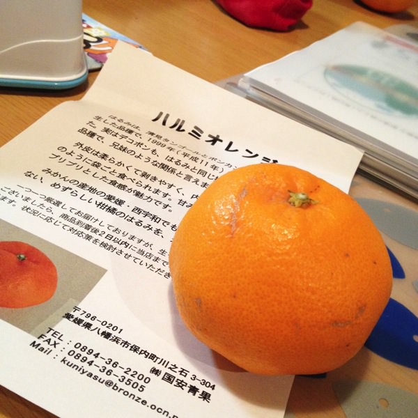 ハルミオレンジ