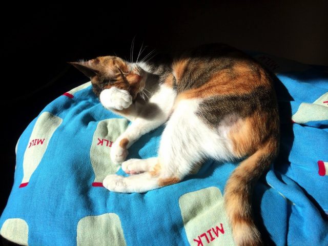 天窓からの日差し