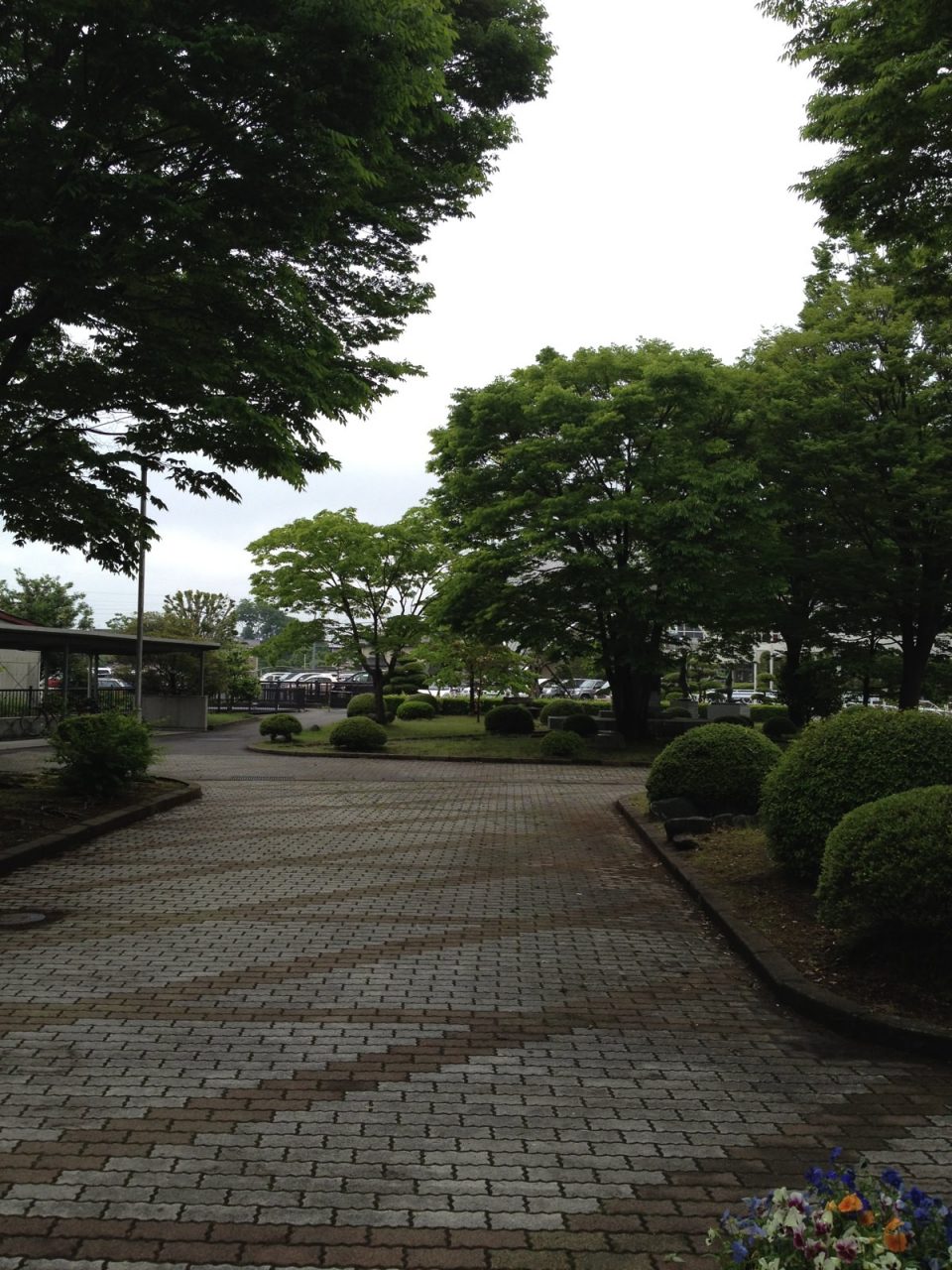 静かな図書館
