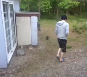 庭に来た猫