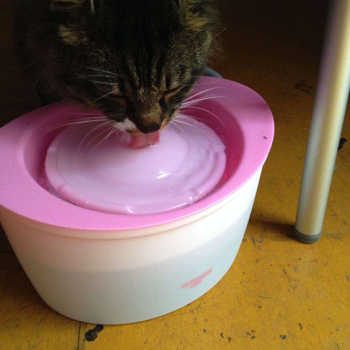 猫用自動給水器