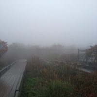 霧の那須高原