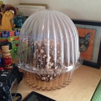 しいたけ栽培キット