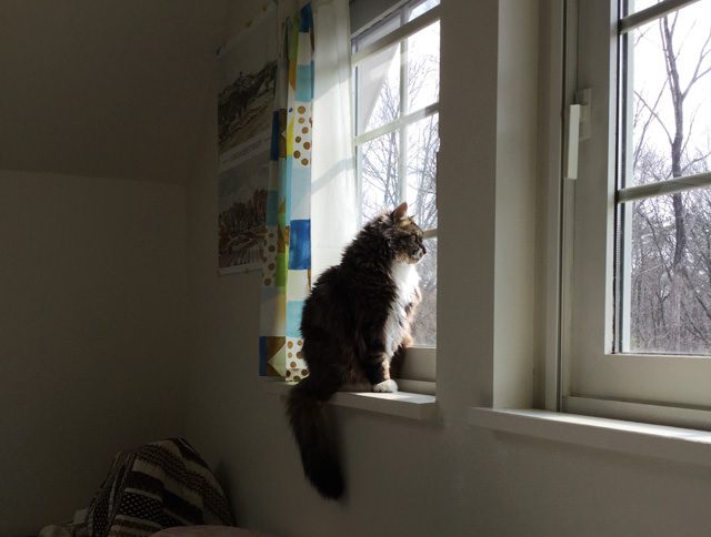 ゴールデンウィーク