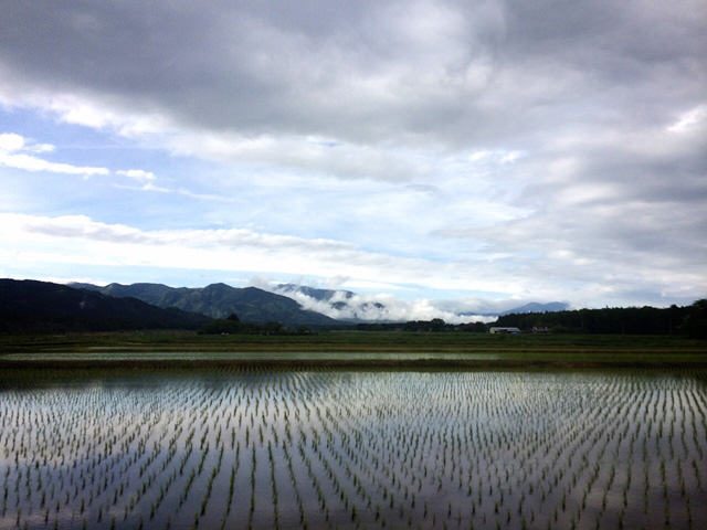 雨上がりのドライブ