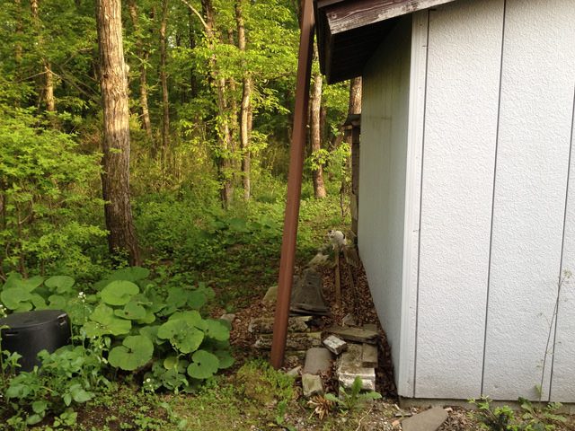野良猫へのマナー