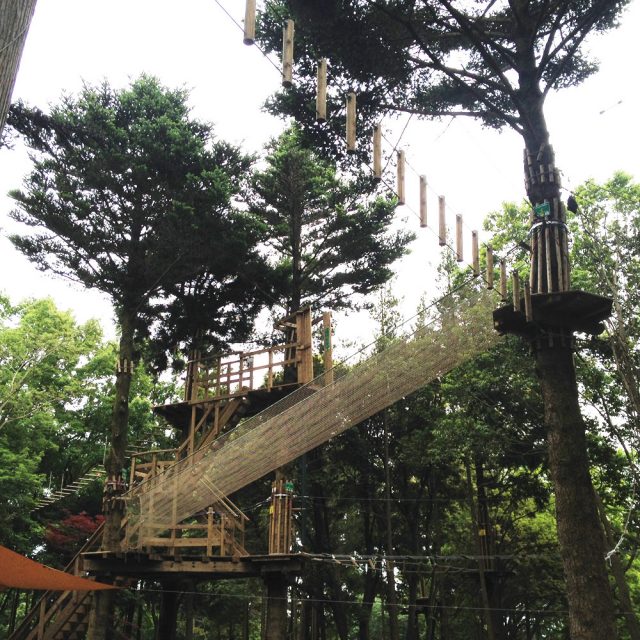 フォレストアドベンチャーつくば