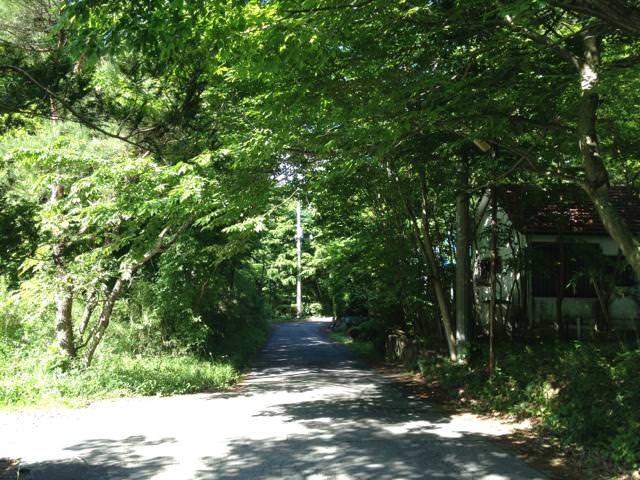 朝のゴミ捨て