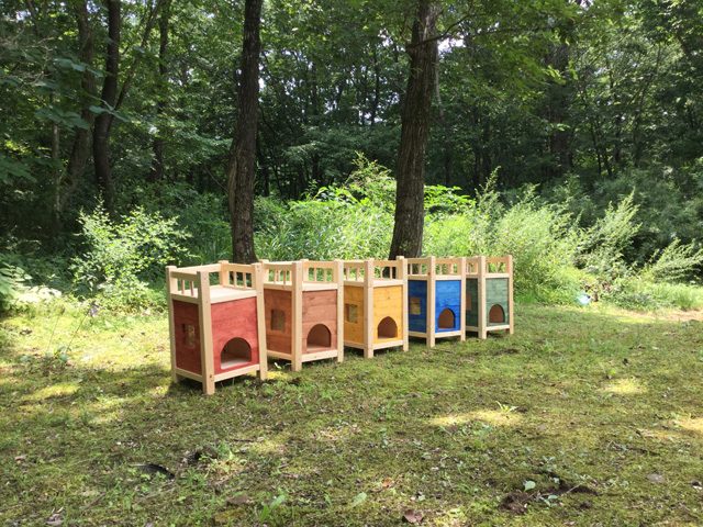 カラフルねこハウス