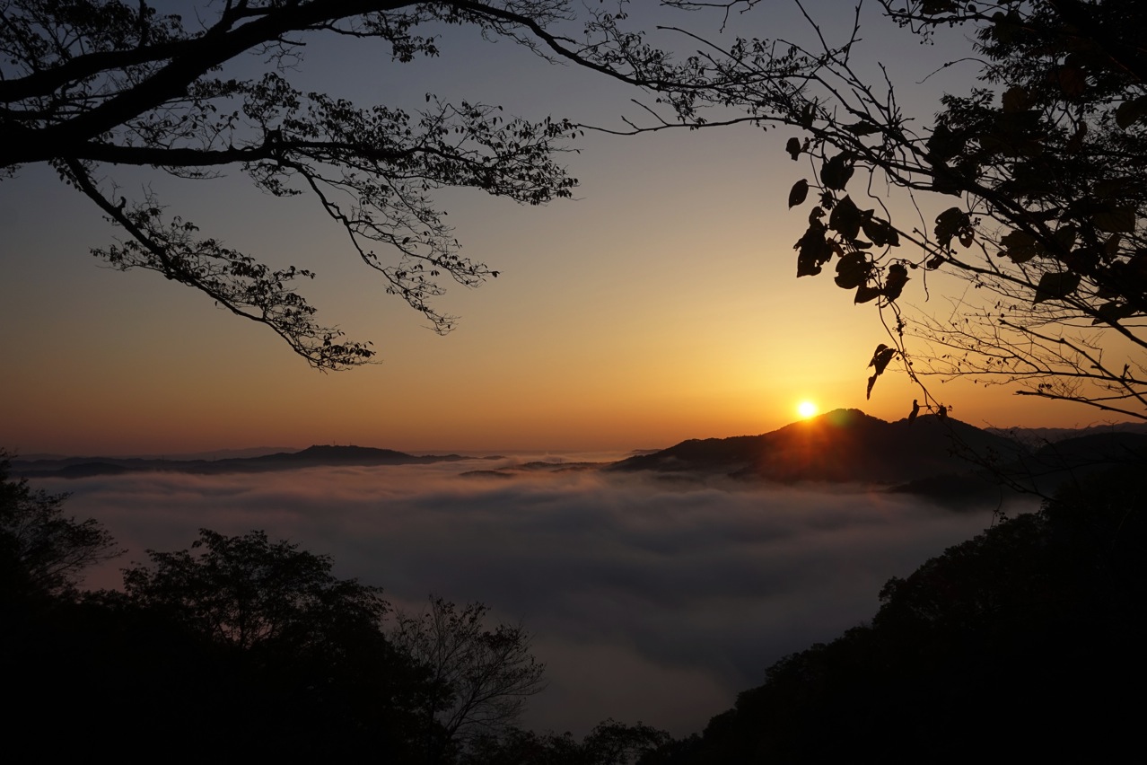 鎌倉山の雲海
