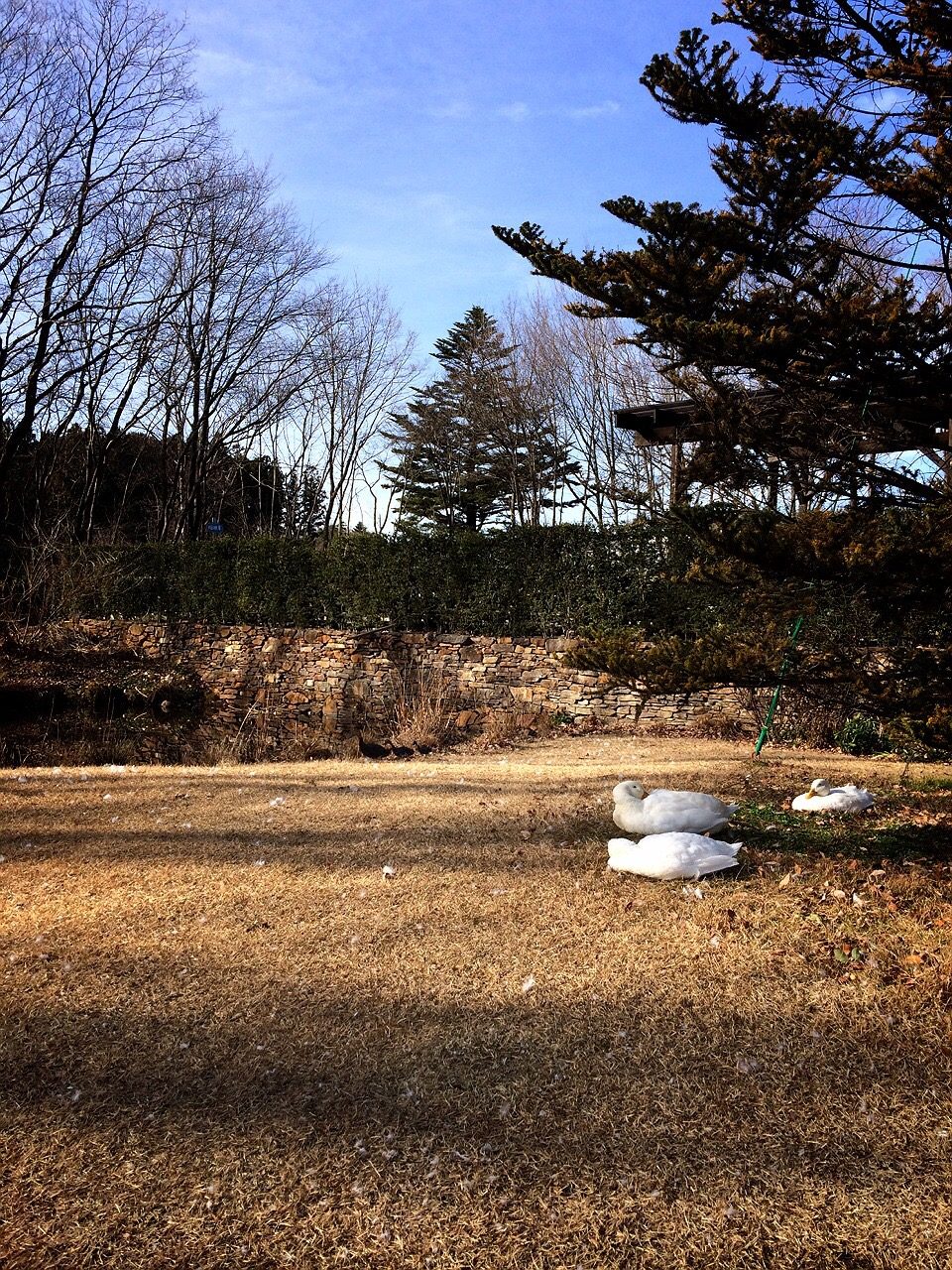 コピスガーデン