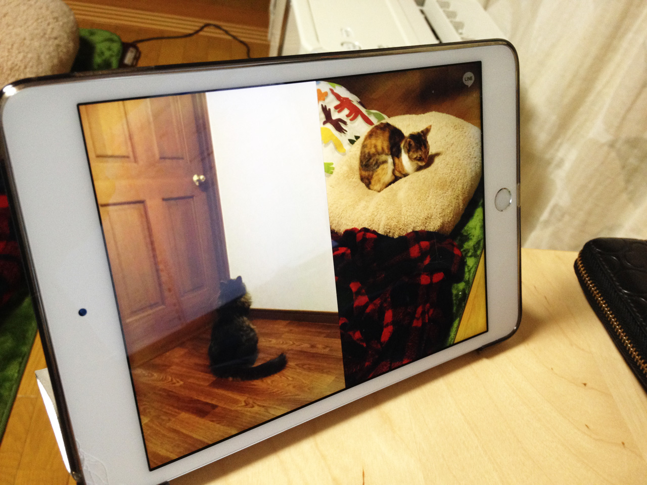 LINEビデオ通話の画面分割で猫をモニタリング