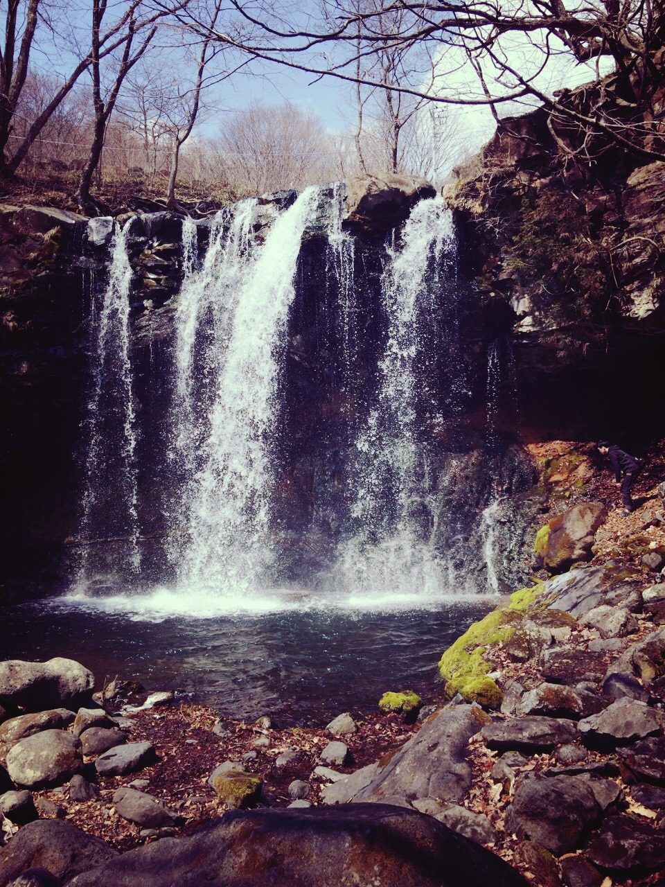 久しぶりのゲスト