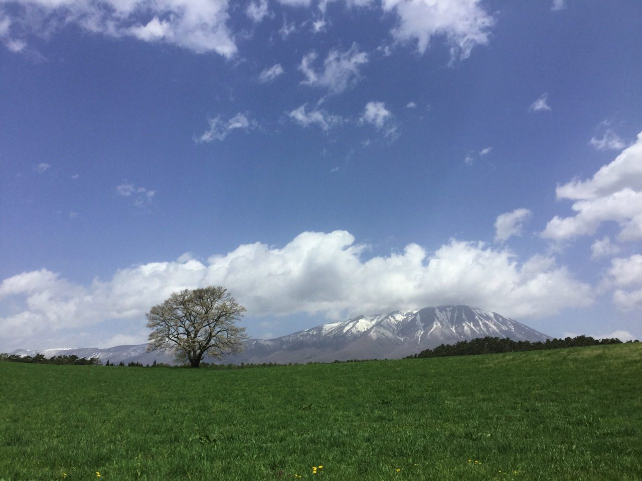 小岩井農場