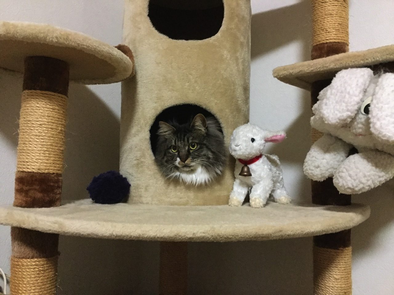 熊猫ダイナー