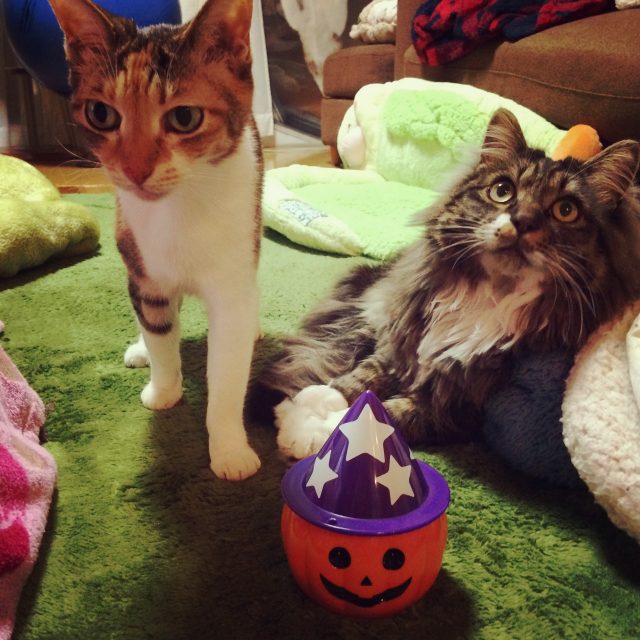 ハロウィン