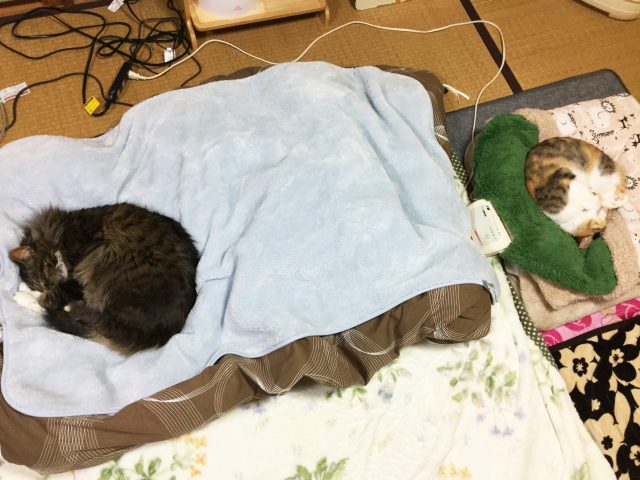 体重ログ