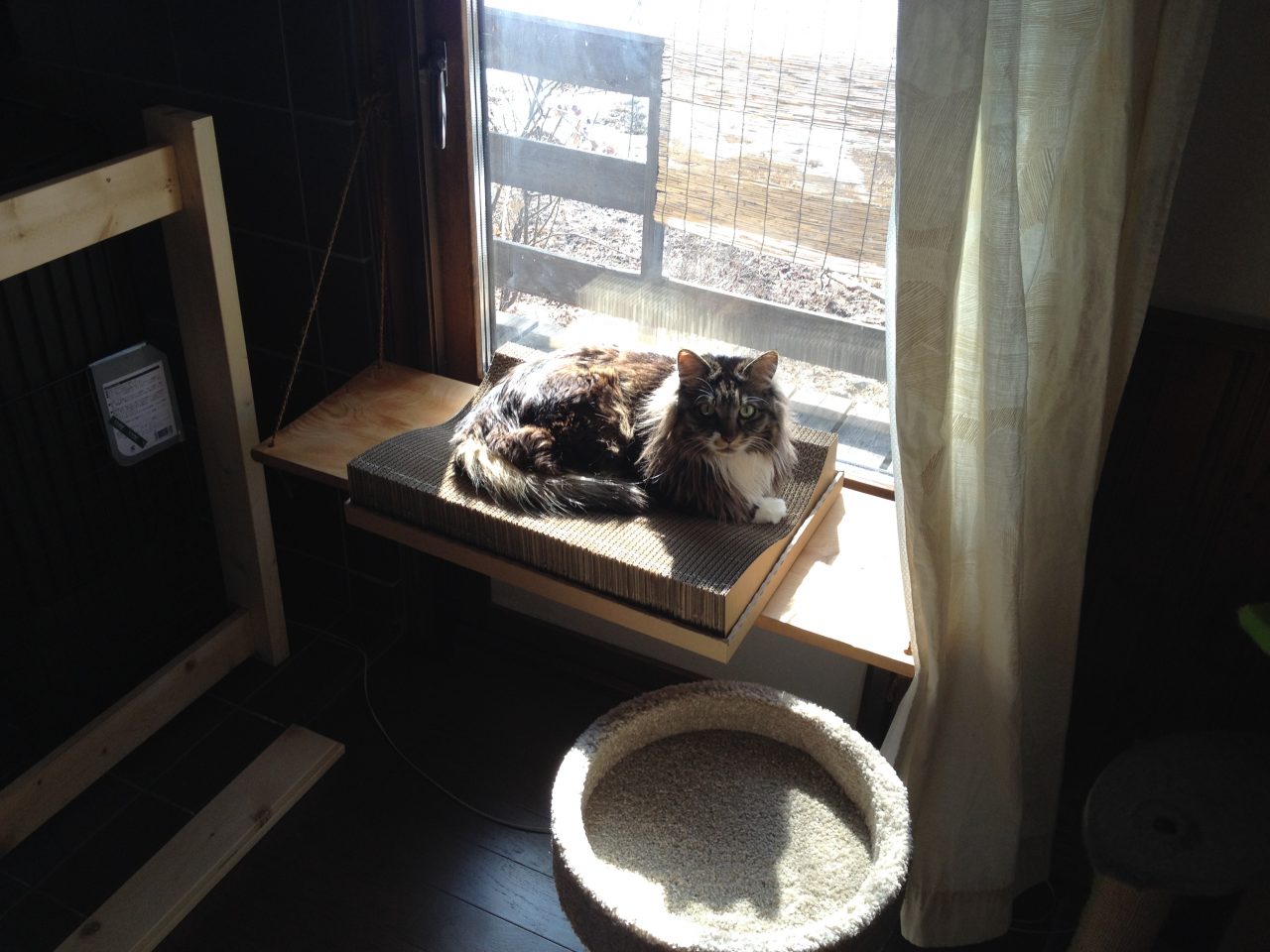 猫の日光浴用ハンモック