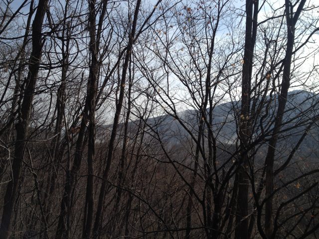 雨が降った日の翌日