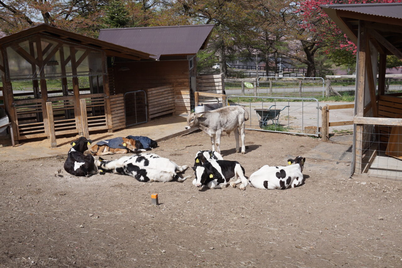 伊香保グリーン牧場