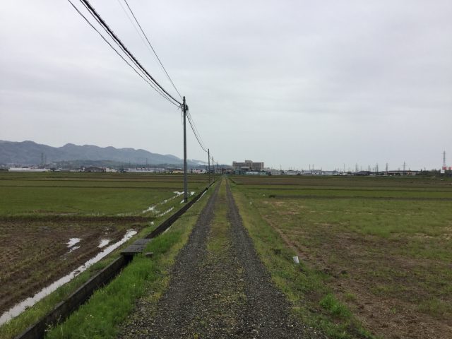 長岡市の田園風景