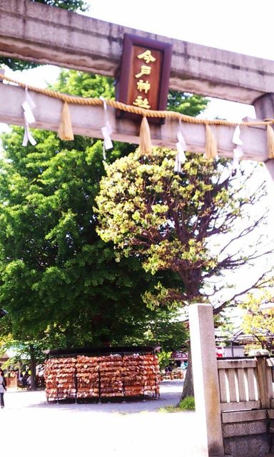 台東区を散歩