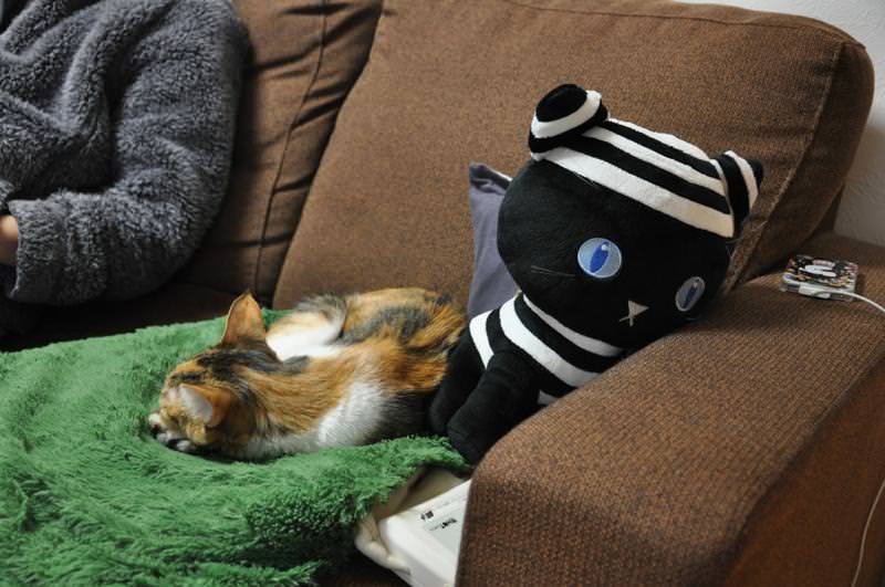 こねこのミーシャ