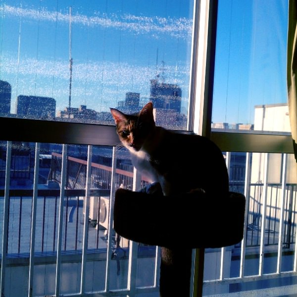 事務手続きいろいろ