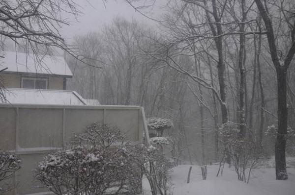 またまた雪