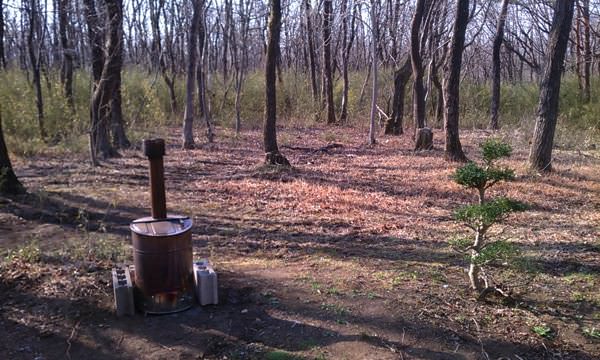 暖かくなってきました