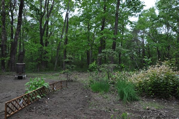 ガーデニング日和