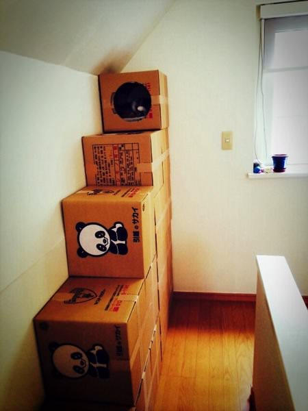 ダンボールタワー