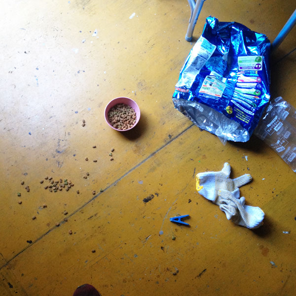 お腹が空いたもので