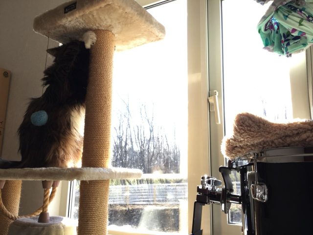 雪が降らないのでスキーができない