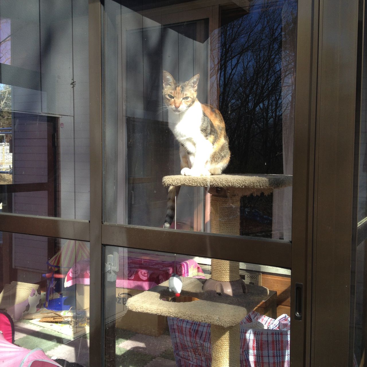 文字数を数えてみる