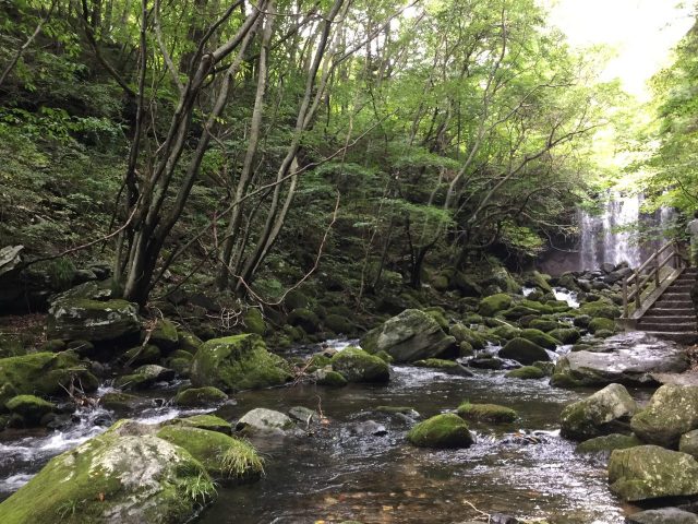 沼ッ原湿原