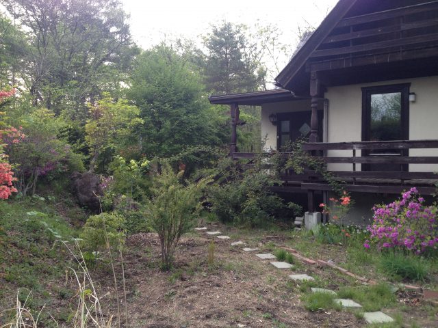 東京からのゲスト