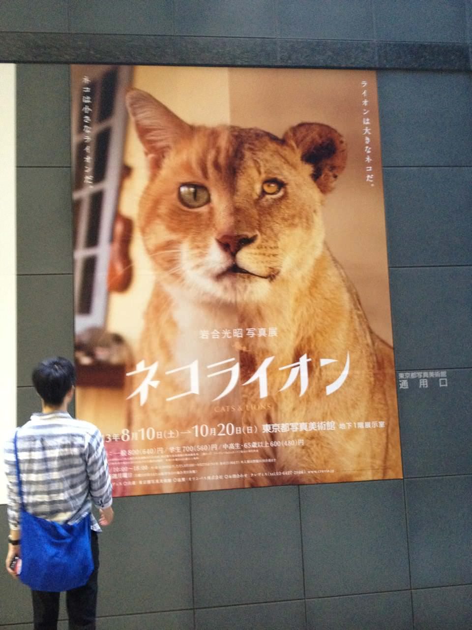 東京都写真美術館