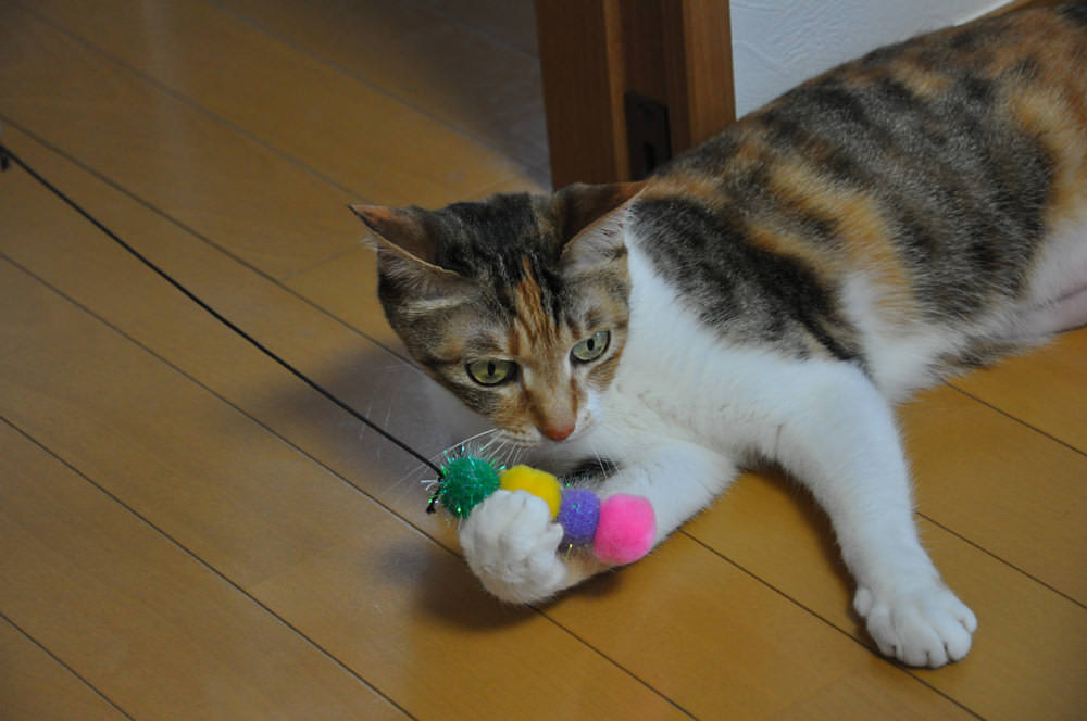 Handmade toy