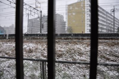 雪納豆