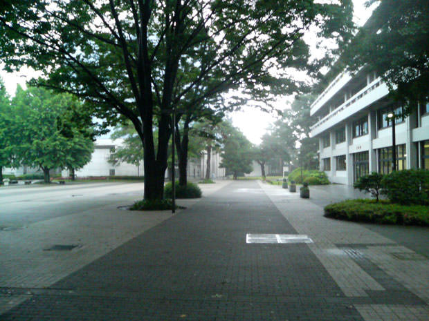 東京経済大学