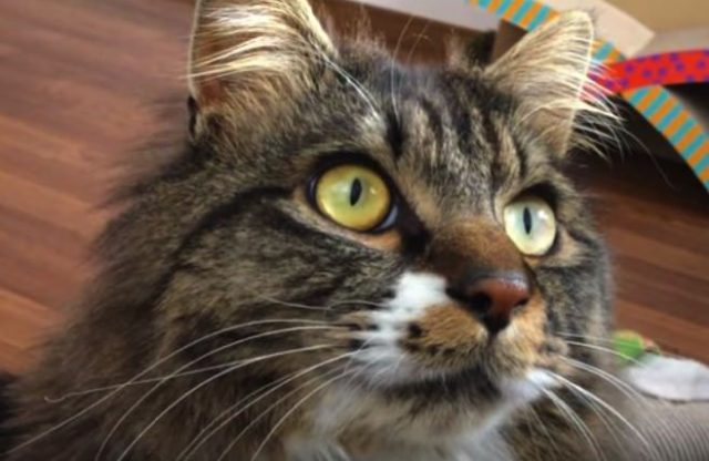 動画の整理をどうするか