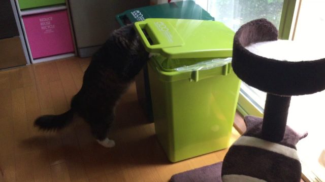 去年の今頃
