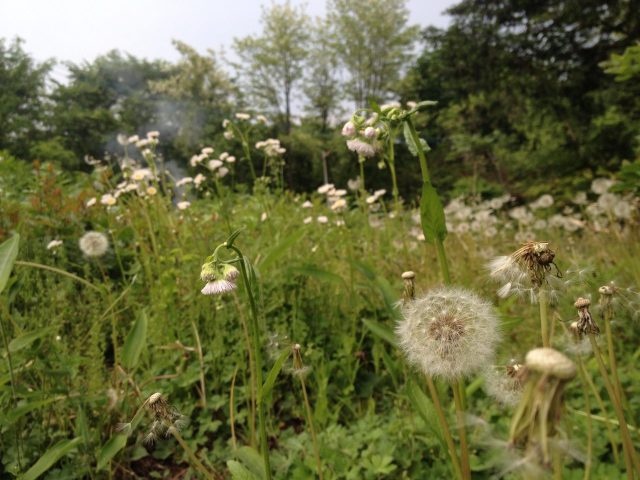 東エリアの掃除開始
